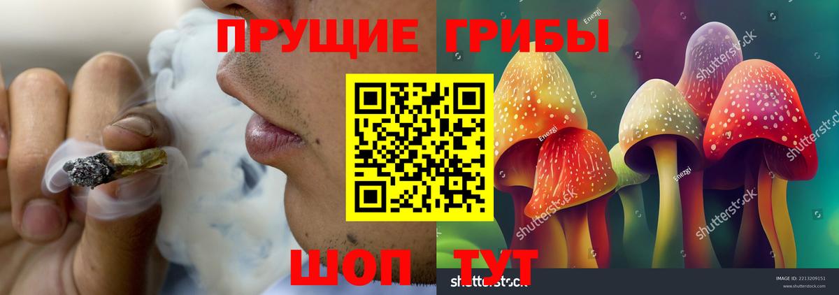 Псилоцибиновые грибы ЛСД Кизляр